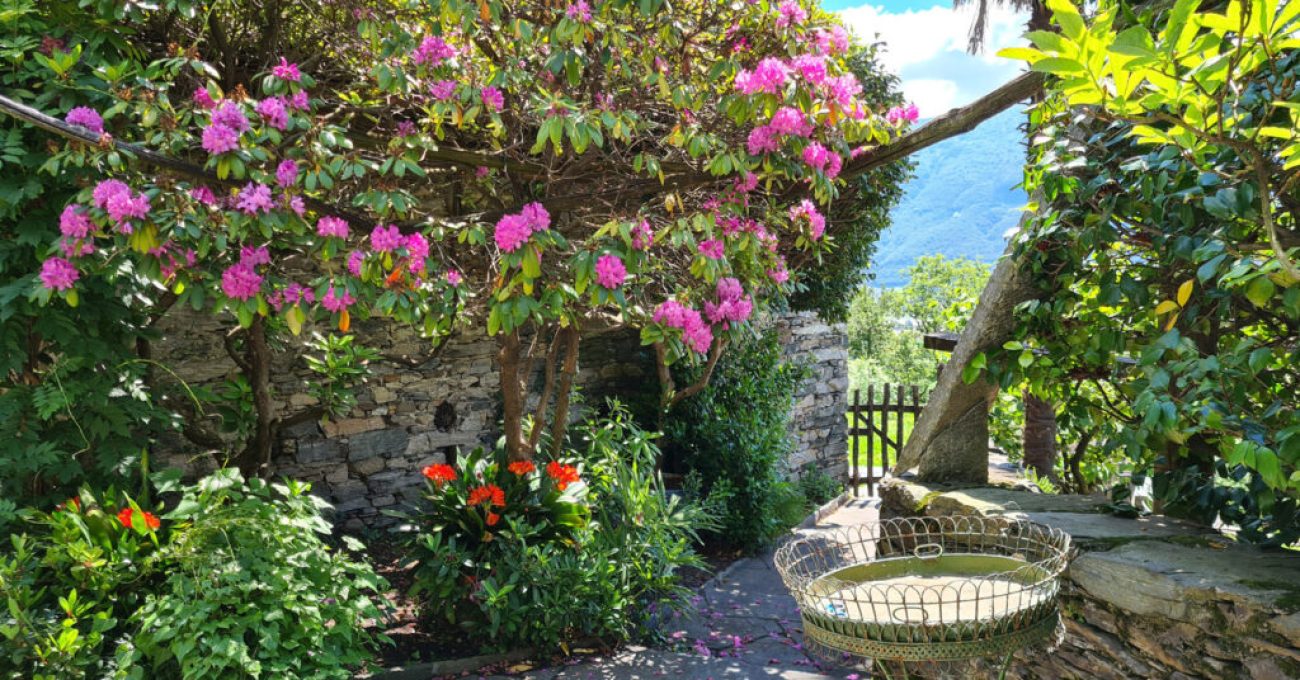 Unser schöner Garten und die Blumen auf der Tenuta Casa Cima
